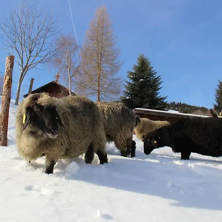 Mitterleithengut Apartment *