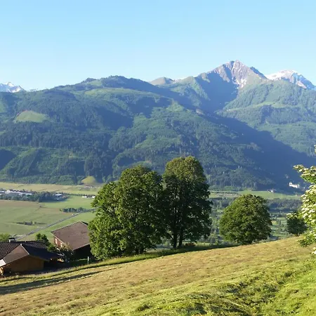 Apartment Mitterleithengut *