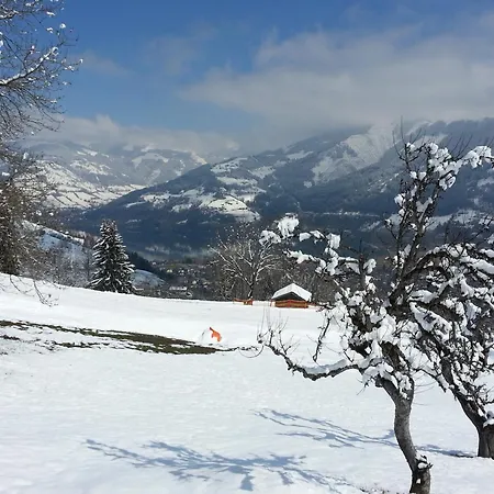 فيريانفوهنانغ ميتيرلايتهينغوت زيل أم سي