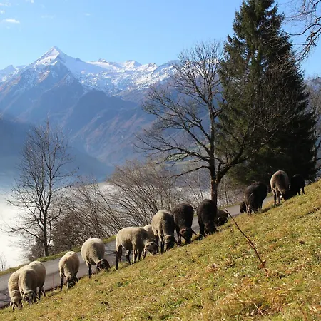 Mitterleithengut Apartment *