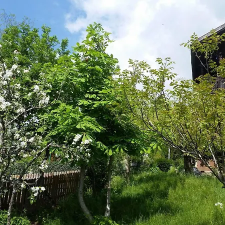 فيريانفوهنانغ ميتيرلايتهينغوت شقة زيل أم سي