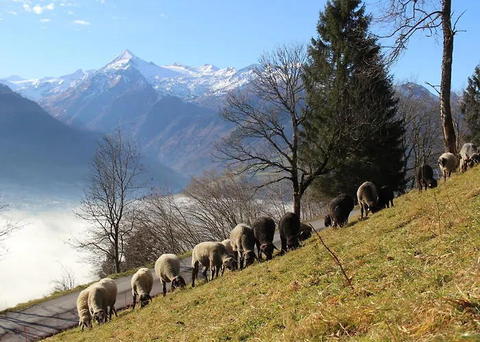 Mitterleithengut Apartmán *