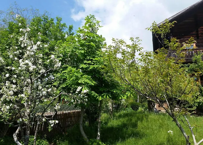 Mitterleithengut Apartmán Zell am See