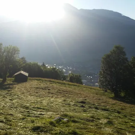 Apartamento Mitterleithengut Zell am See